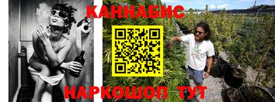 амф Гатчина