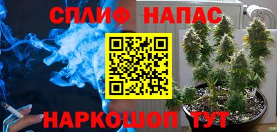 амф Гатчина