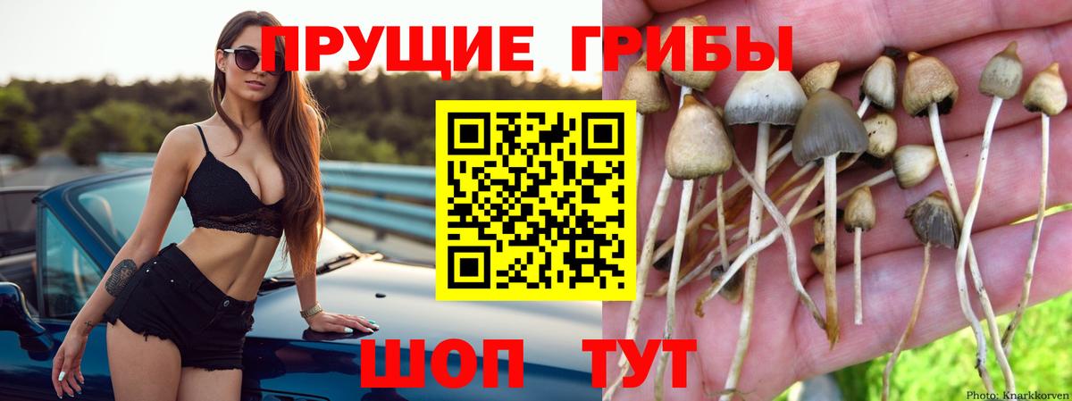 Галлюциногенные грибы ЛСД  Псилоцибиновые грибы мухоморы  Тосно  Вход с VPN 